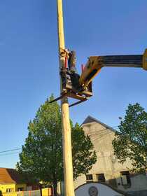 Maibaum 2026