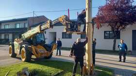 Maibaum 2026