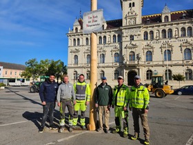Maibaum 2026