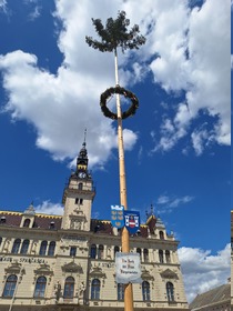 Maibaum 2026