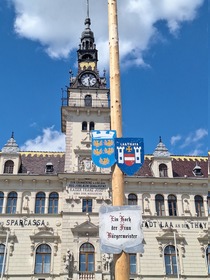 Maibaum 2026