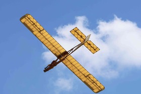 Maibaum 2026
