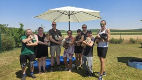 7. Chihuahua Treffen in Ungerndorf