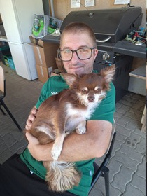 7. Chihuahua Treffen in Ungerndorf