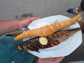 5. Sommerfest in Ungerndorf begeisterte zahlreiche Gäste