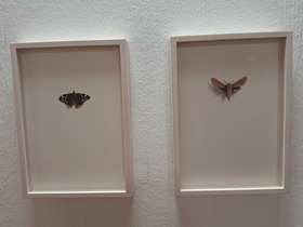 NÖDOK on Tour im Kunsthaus Laa