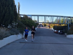 Das war Lauf um die Burg 2026